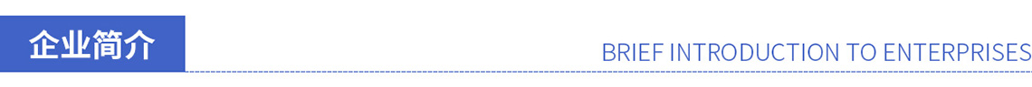 企業(yè)簡介標(biāo)題 企業(yè)簡介標(biāo)題