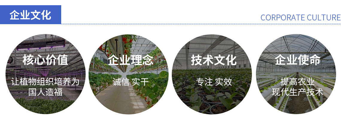 企業(yè)文化 企業(yè)文化