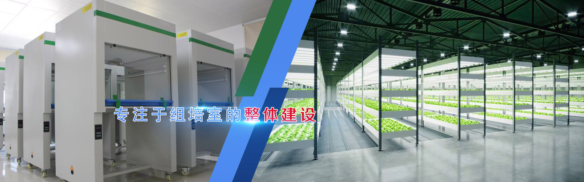 組培、組培架