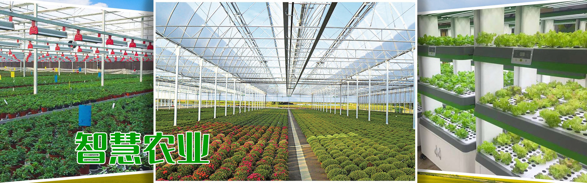 組培、組培架