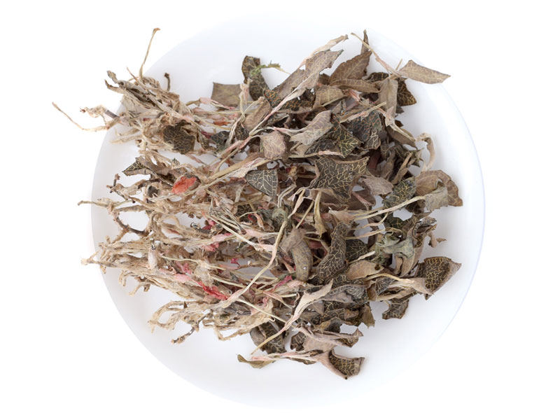 金線蓮組培室及儀器設(shè)備