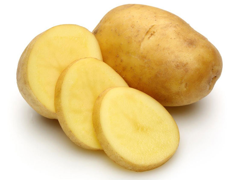 馬鈴薯組培室及儀器設(shè)備