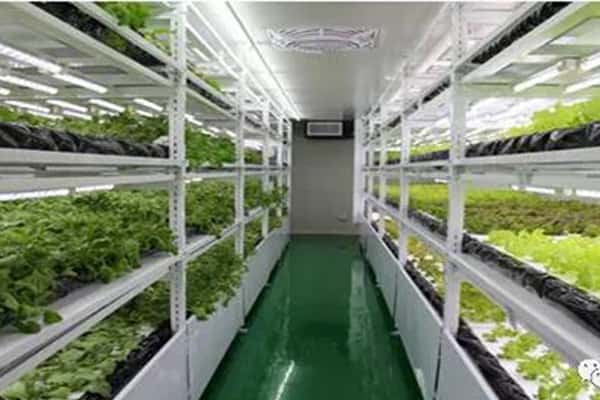 組培生產(chǎn)中常見問題及應(yīng)對(duì)措施