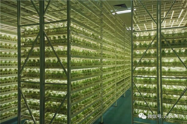 組培儀器設(shè)備