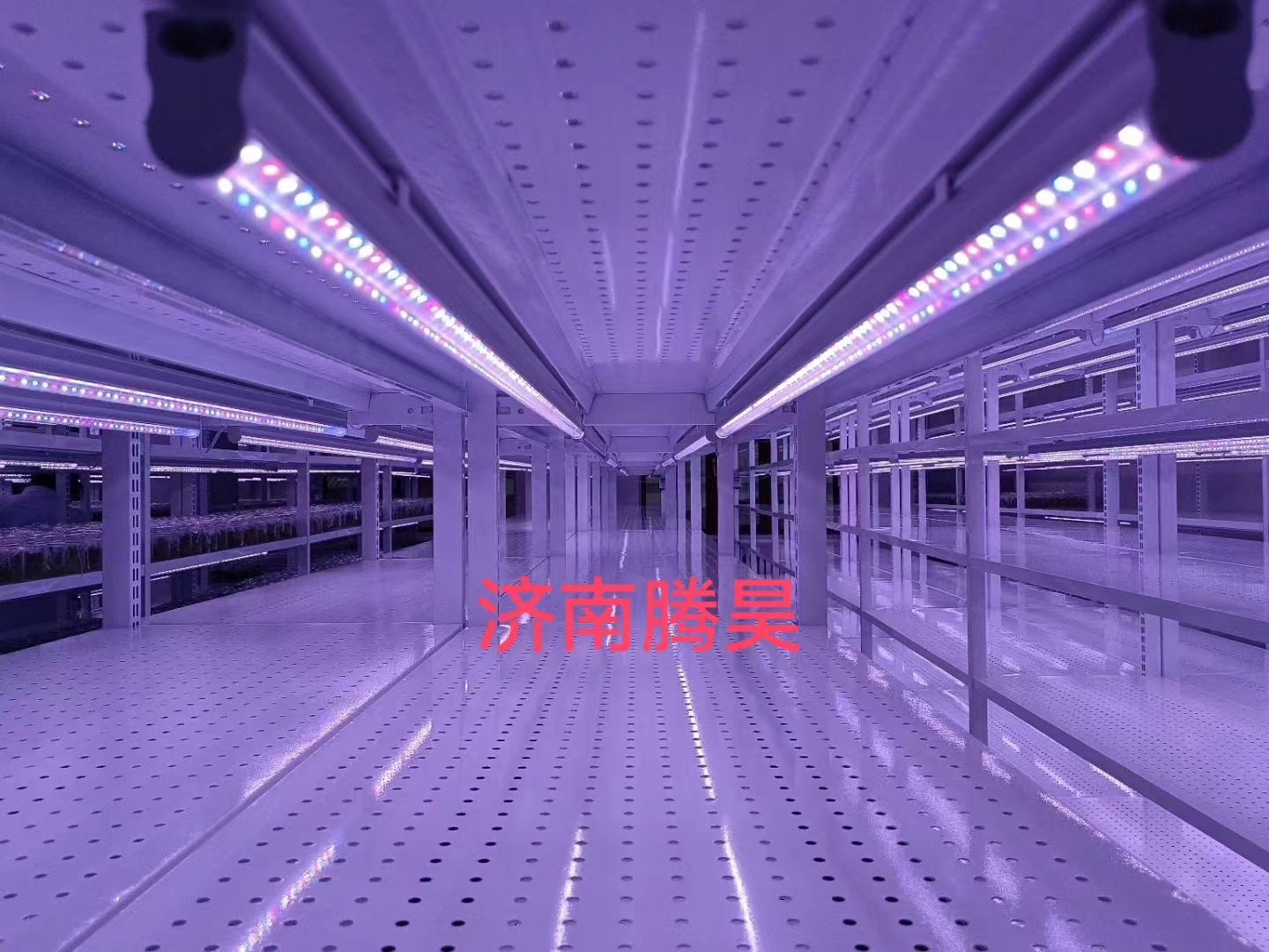 組培架，培養(yǎng)架，光照培養(yǎng)架，組培室設(shè)計(jì)，組培室無(wú)菌凈化